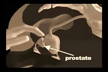 वह देता है मुझे सह सनी लियोन की एक्स एक्स एक्स मूवी और उसके मोजे